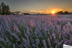 180626_EspigolNens-340a_HDR-1_AuroraHDR2018-edit