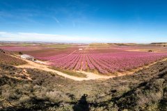 190310_UtxesaFlroacioGuiada-201a_Pano-1-Pano