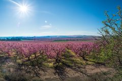 190310_UtxesaFlroacioGuiada-9a_Pano-1-Pano