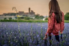 170613_FlorLavanda-38-Editar-2-Editar-1